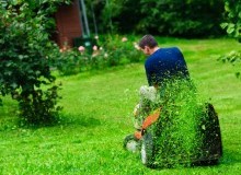 Kwikfynd Lawn Mowing
kirribilli